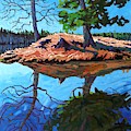 Turtle Point